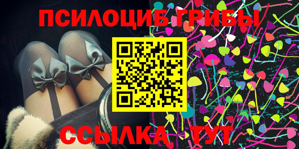 Корсаков  Галлюциногенные грибы Cubensis  Вход с VPN 